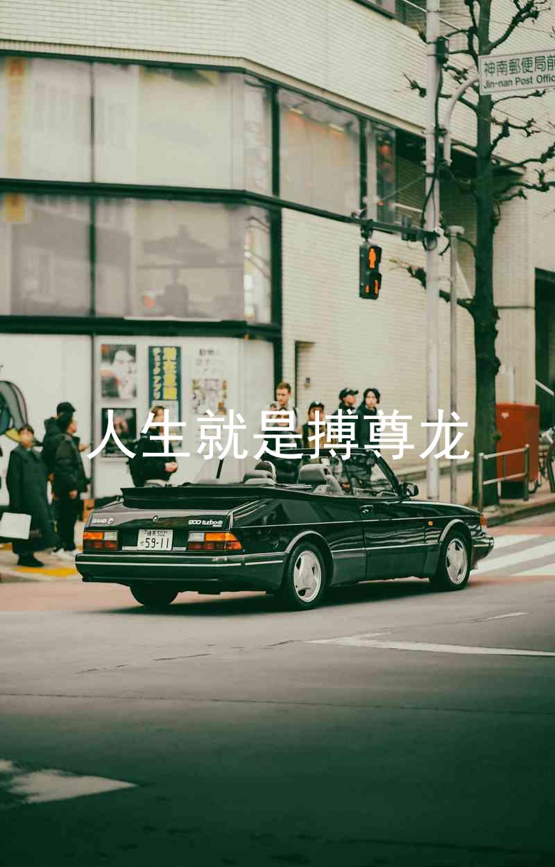 人生就是搏尊龙